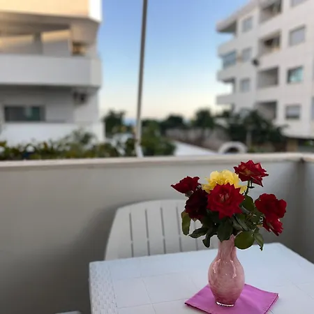 Sea-view Apartament,kompleksi Fishta شقة Velipojë